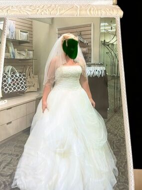 Vera Wang Wedding Dress & Veil